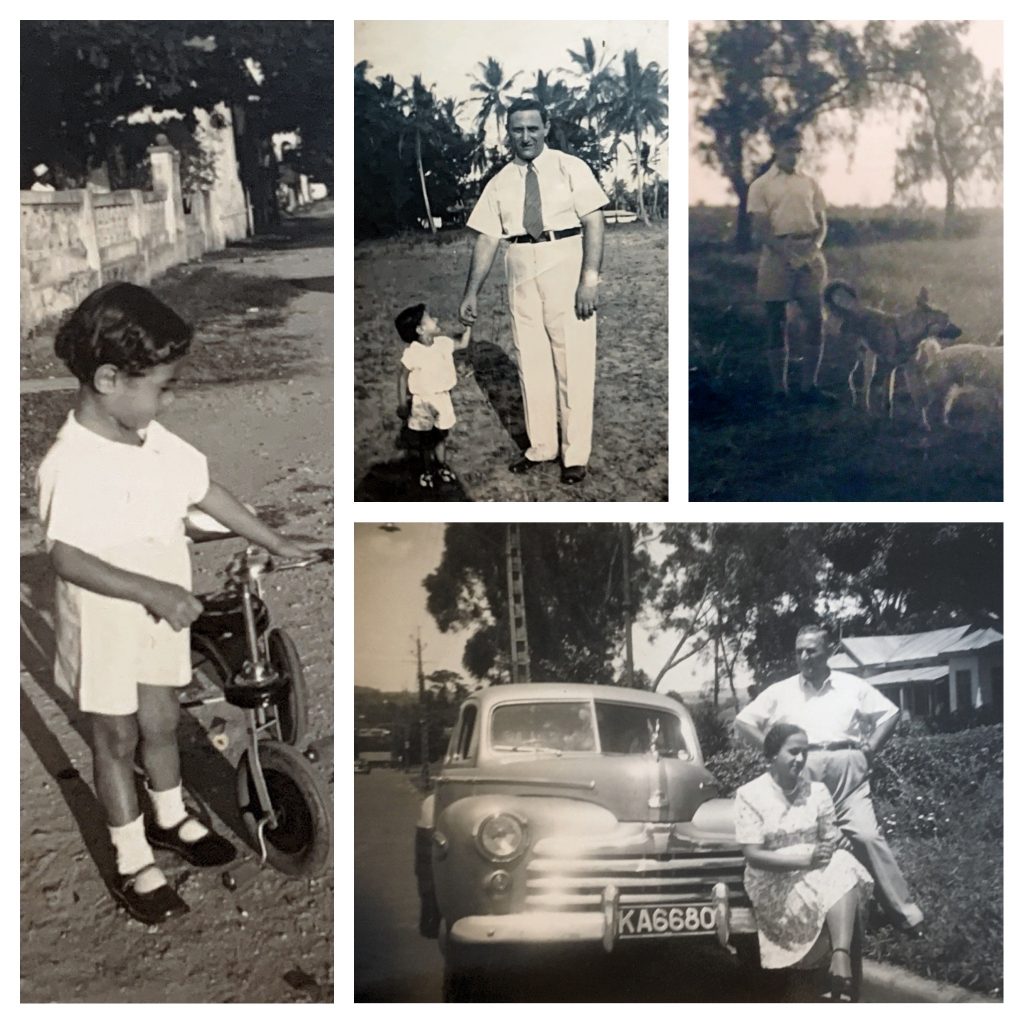 Takis by Susanna Lovell - Ourboox.com