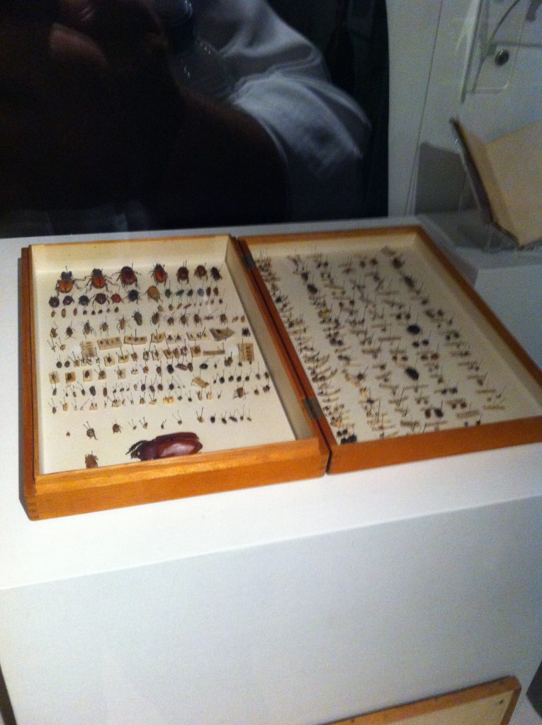 Recruiting Your Demons – Secret of Success by Mel Rosenberg - מל רוזנברג - Illustrated by Darwin's Bug Collection - Are You Phobic? - Ourboox.com