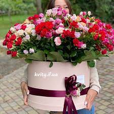 Ніжні троянди by Оксана Анатоліївна Мартинюк вчитель зарубіжної літератури Перерослівського ліцею - Illustrated by матеріали для уроків - Ourboox.com