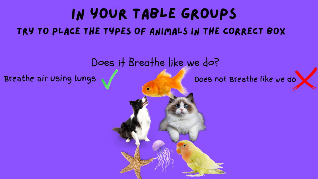 My No So Spooky Body by Allison McDaniel - Illustrated by Allison McDaniel - Ourboox.com