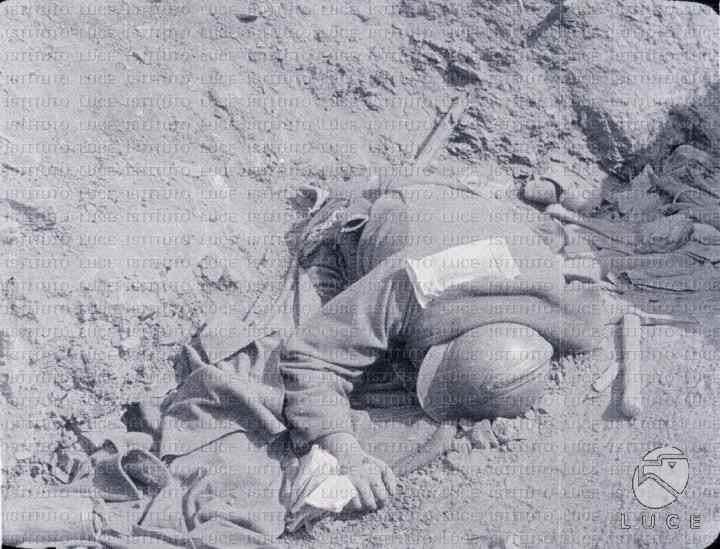 Peter e la guerra del 1917 by Mattia gallici - Illustrated by Mattia Gallucci, Eleonora Simeoni e Riccardo Ottoborgo  - Ourboox.com