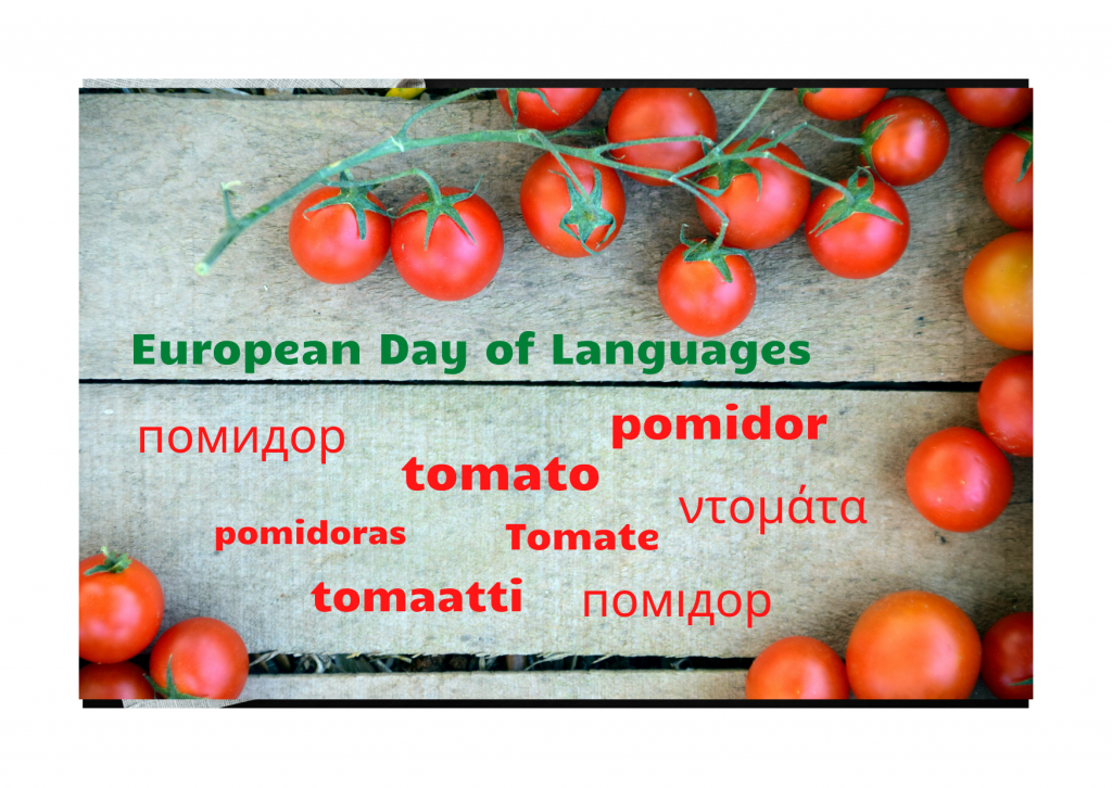 Our European Day of Languages by Edyta - Illustrated by Students of 4th, 5th, 7th, 8th grades - Ourboox.com