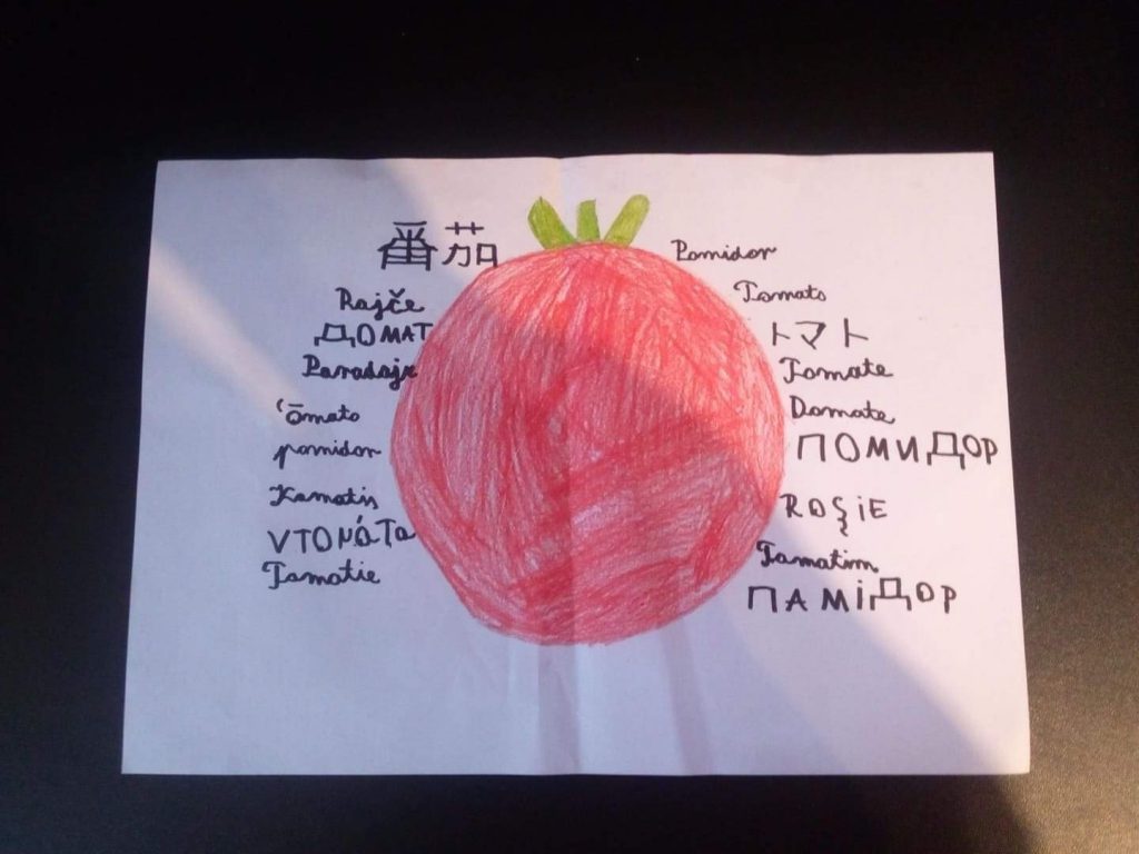 Our European Day of Languages by Edyta - Illustrated by Students of 4th, 5th, 7th, 8th grades - Ourboox.com