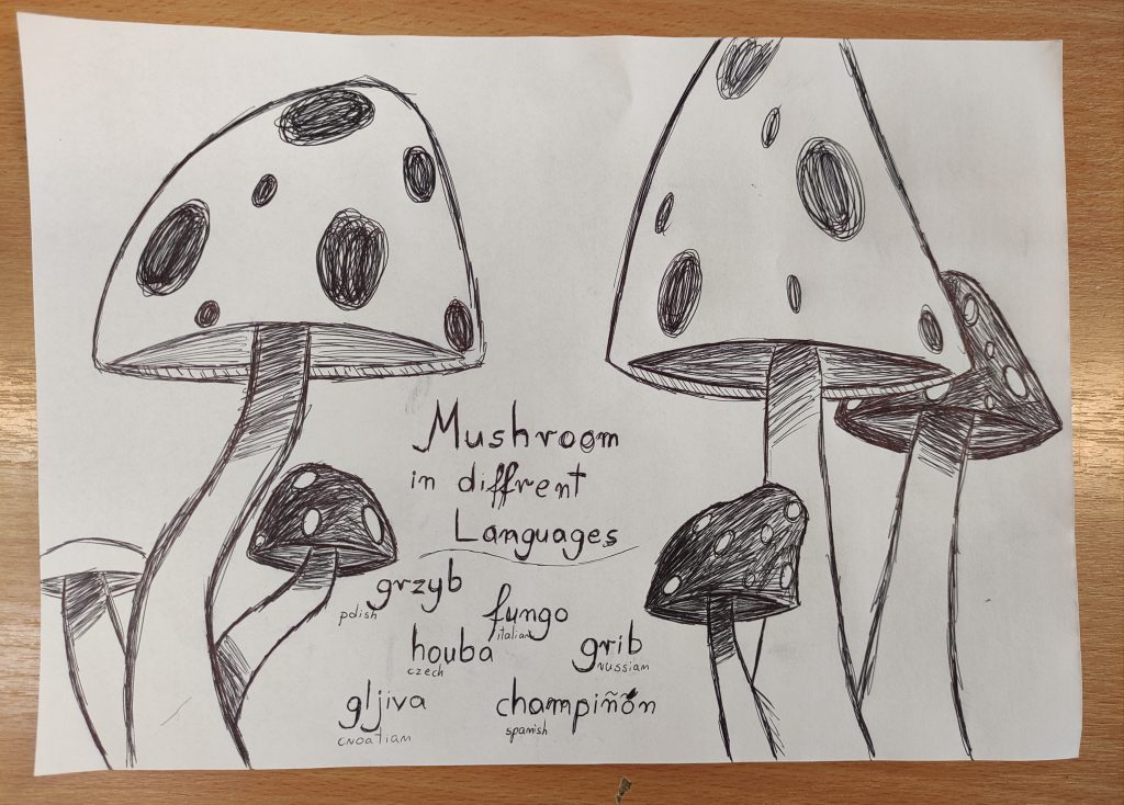 Our European Day of Languages by Edyta - Illustrated by Students of 4th, 5th, 7th, 8th grades - Ourboox.com