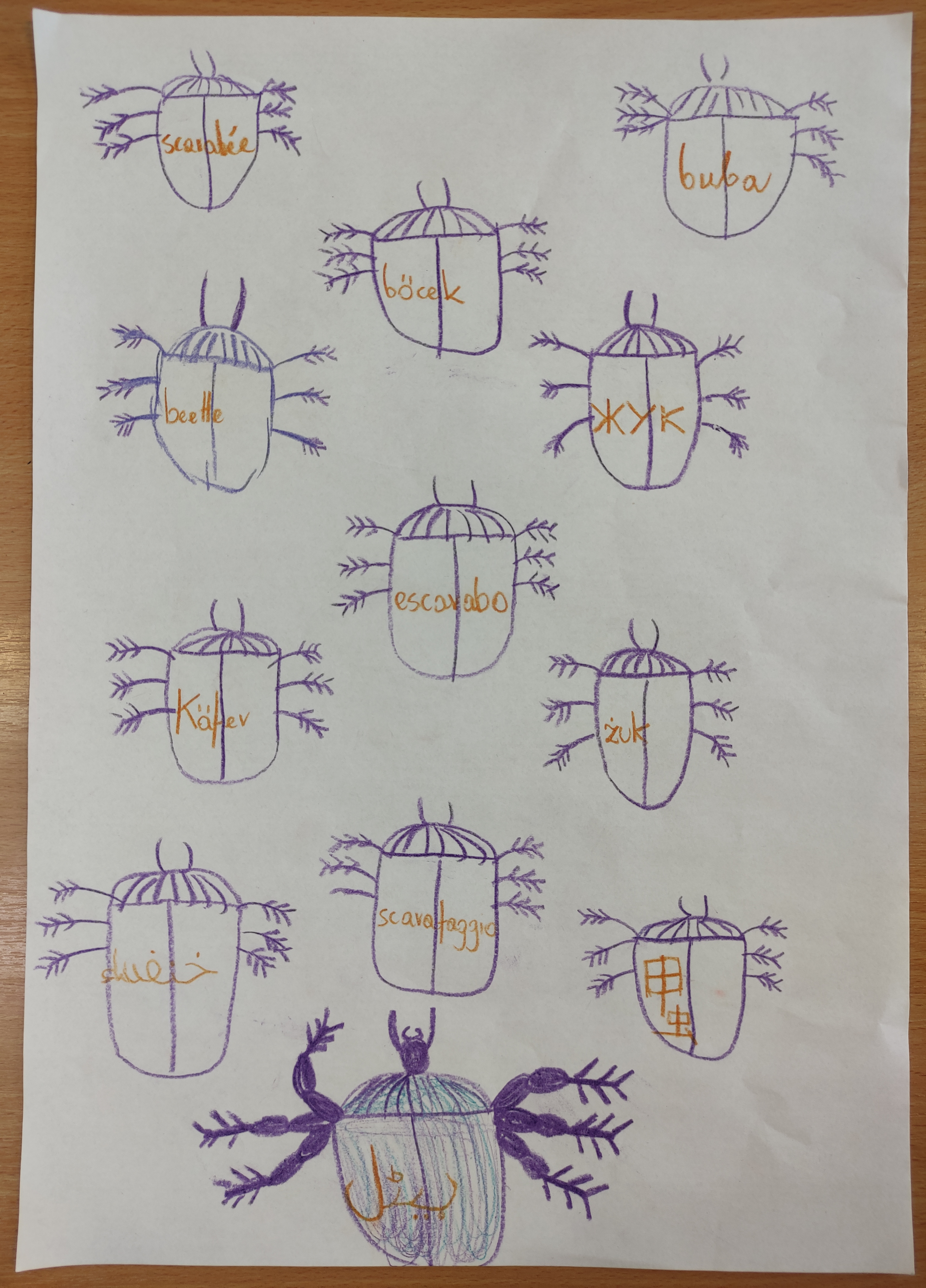 Our European Day of Languages by Edyta - Illustrated by Students of 4th, 5th, 7th, 8th grades - Ourboox.com