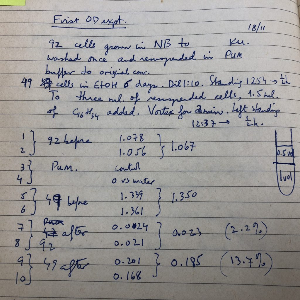 Sixty Minutes, Seventy Years – PIctures from my life by Mel Rosenberg - מל רוזנברג - Ourboox.com