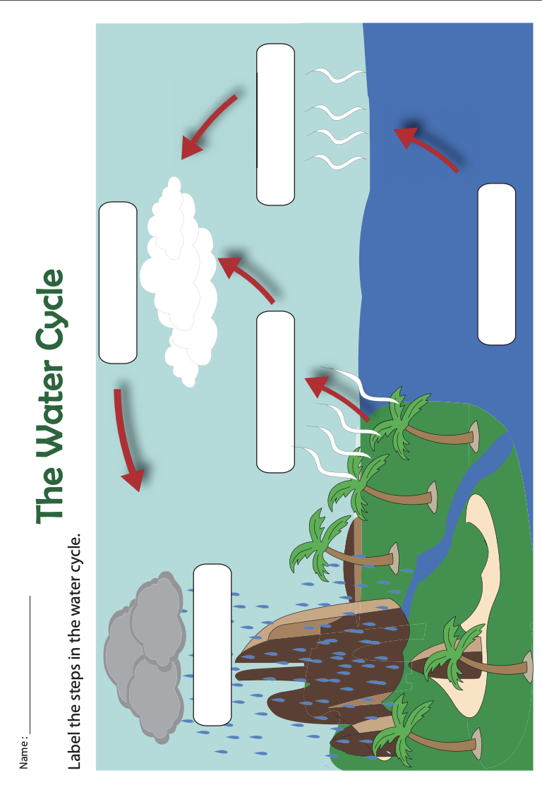 Water, Water Everywhere! The Water Cycle by Kayla Gallagher - Ourboox.com