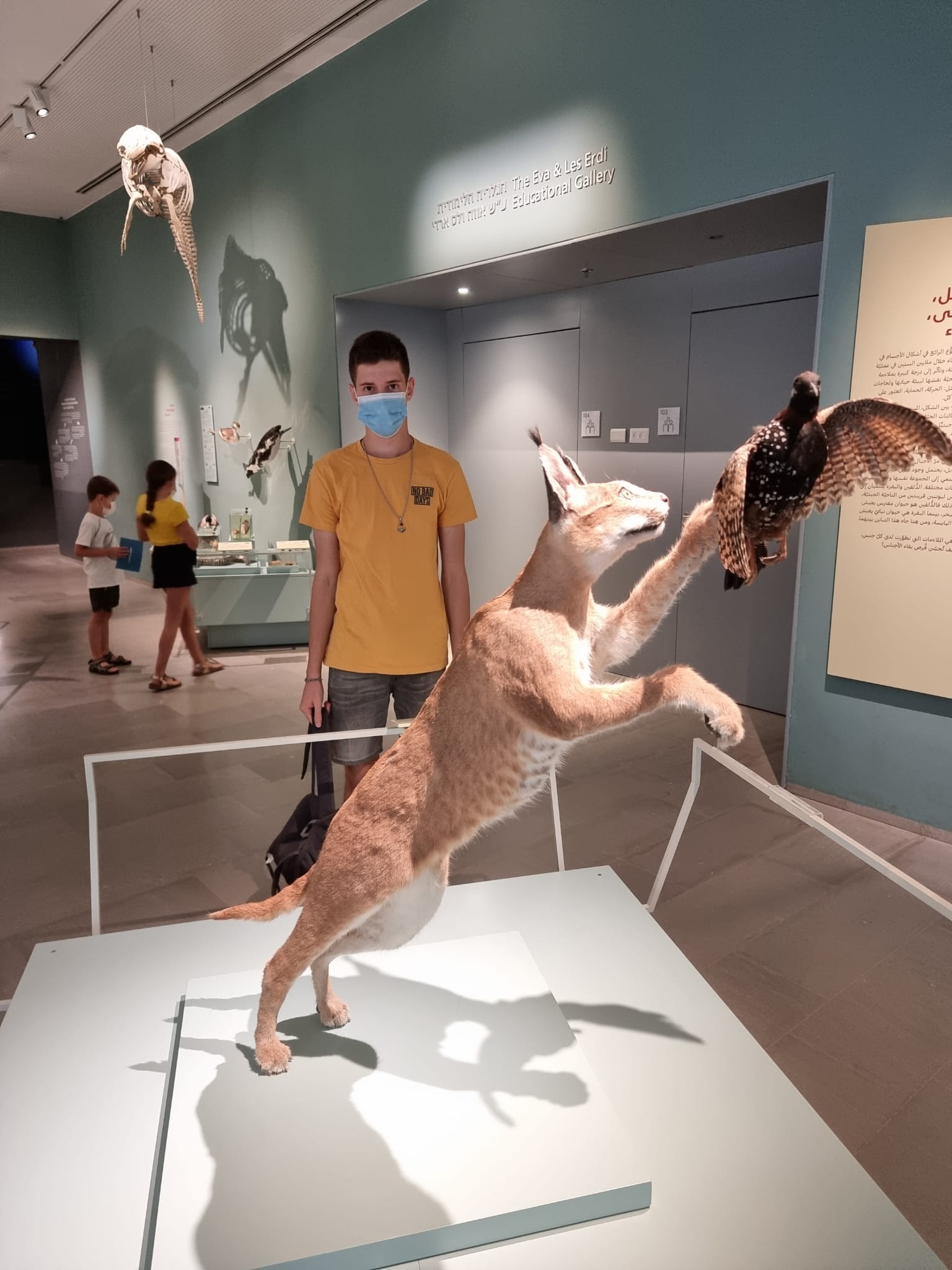 הזיכרונות של עמית by AMIT - Illustrated by נוצר על ידי עמית ליפשיץ - Ourboox.com