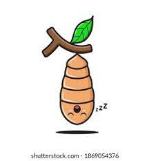 The Life Cycle of Annabella the Butterfly by Emily Girolamo - Ourboox.com