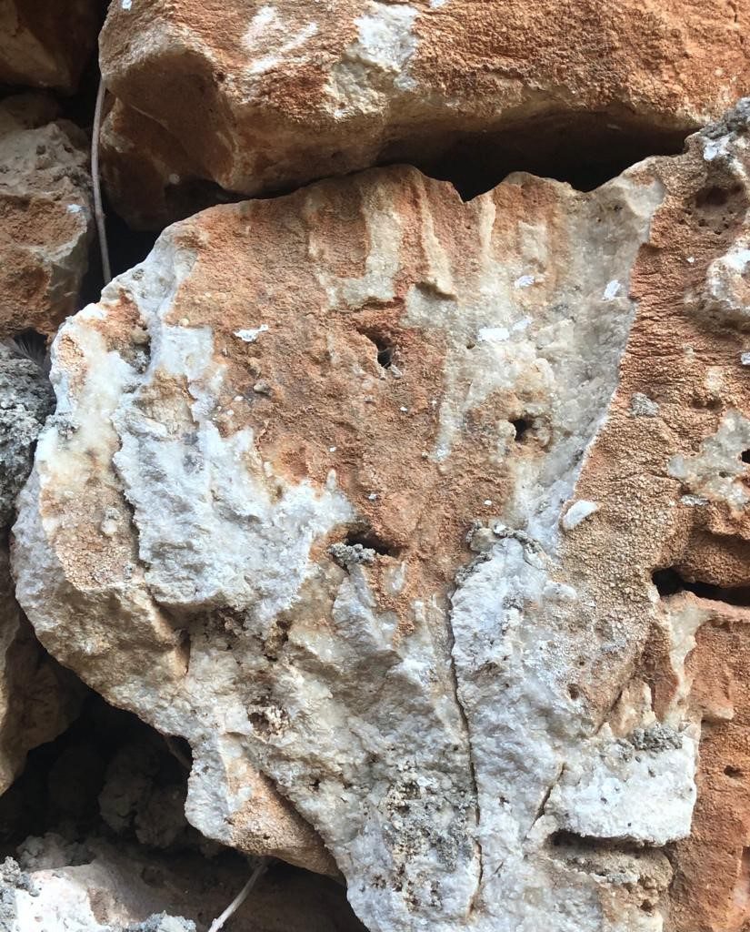 Objects with faces by Allon Sasson - Illustrated by Allon Sasson - Ourboox.com