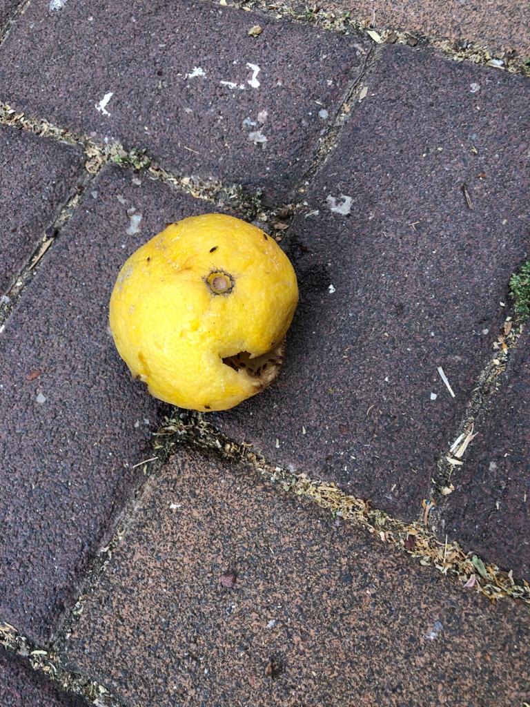 Objects with faces by Allon Sasson - Illustrated by Allon Sasson - Ourboox.com