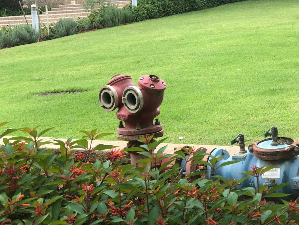 Objects with faces by Allon Sasson - Illustrated by Allon Sasson - Ourboox.com