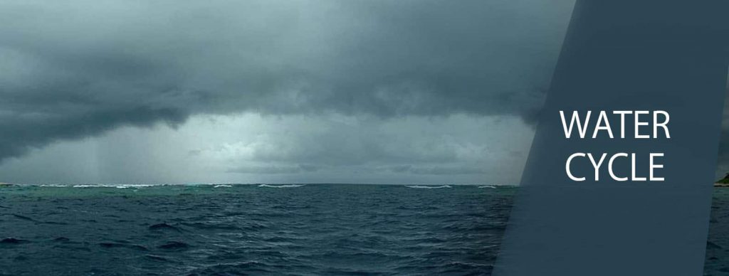 Water, Water Everywhere! The Water Cycle by Kayla Gallagher - Ourboox.com