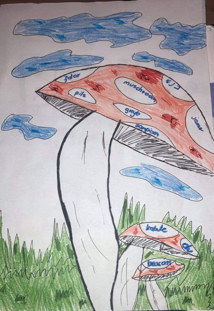 Our European Day of Languages by Edyta - Illustrated by Students of 4th, 5th, 7th, 8th grades - Ourboox.com