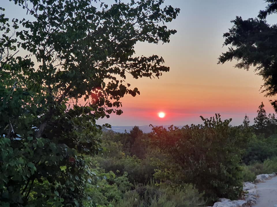 רק נולדו by Sharon Bryan - Illustrated by sharon bryan - Ourboox.com