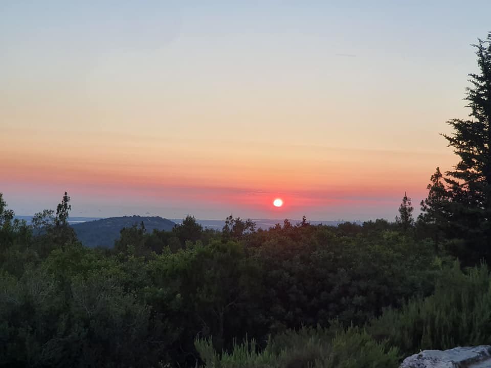 רק נולדו by Sharon Bryan - Illustrated by sharon bryan - Ourboox.com