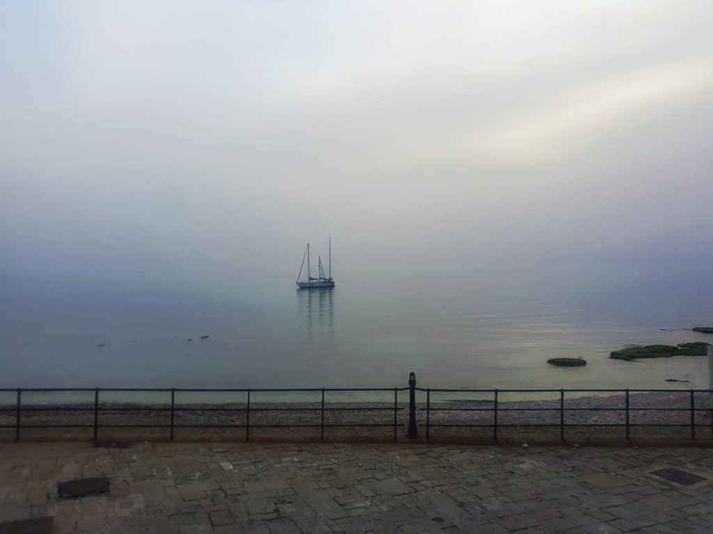 רק נולדו by Sharon Bryan - Illustrated by sharon bryan - Ourboox.com