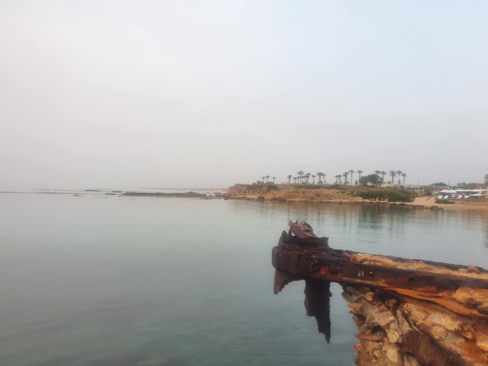 רק נולדו by Sharon Bryan - Illustrated by sharon bryan - Ourboox.com