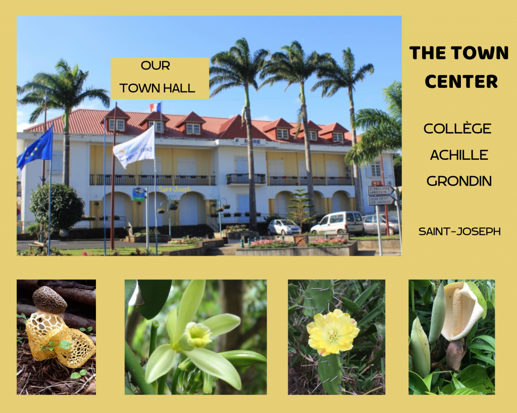 Saint-Joseph, Réunion Island by Maria - Illustrated by Maria Gaume - Ourboox.com