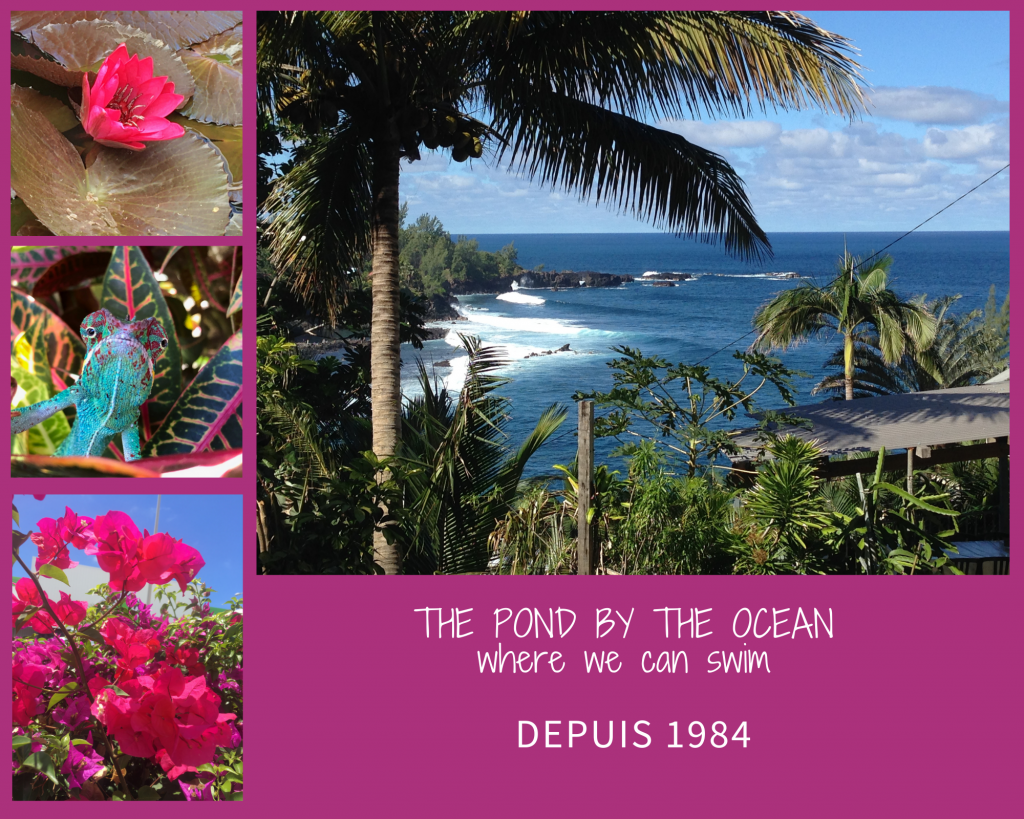 Saint-Joseph, Réunion Island by Maria - Illustrated by Maria Gaume - Ourboox.com