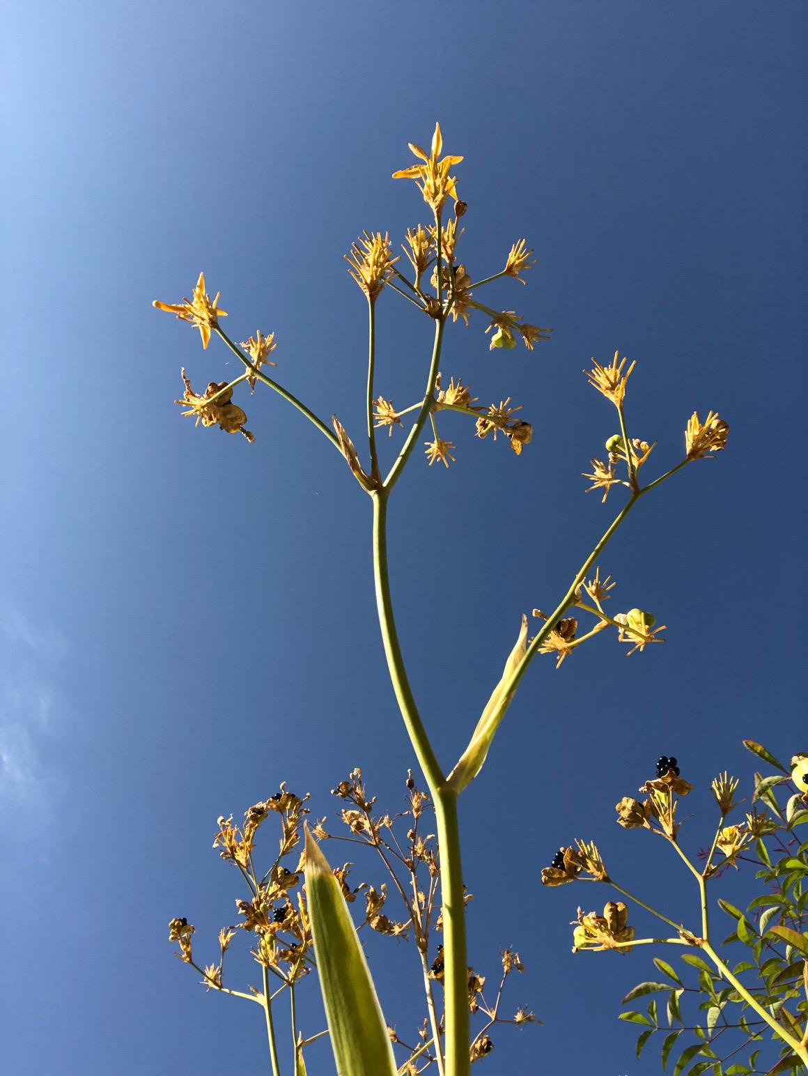 A Blue Day by Stephen Pohlmann - Illustrated by Stephen Pohlmann - Ourboox.com