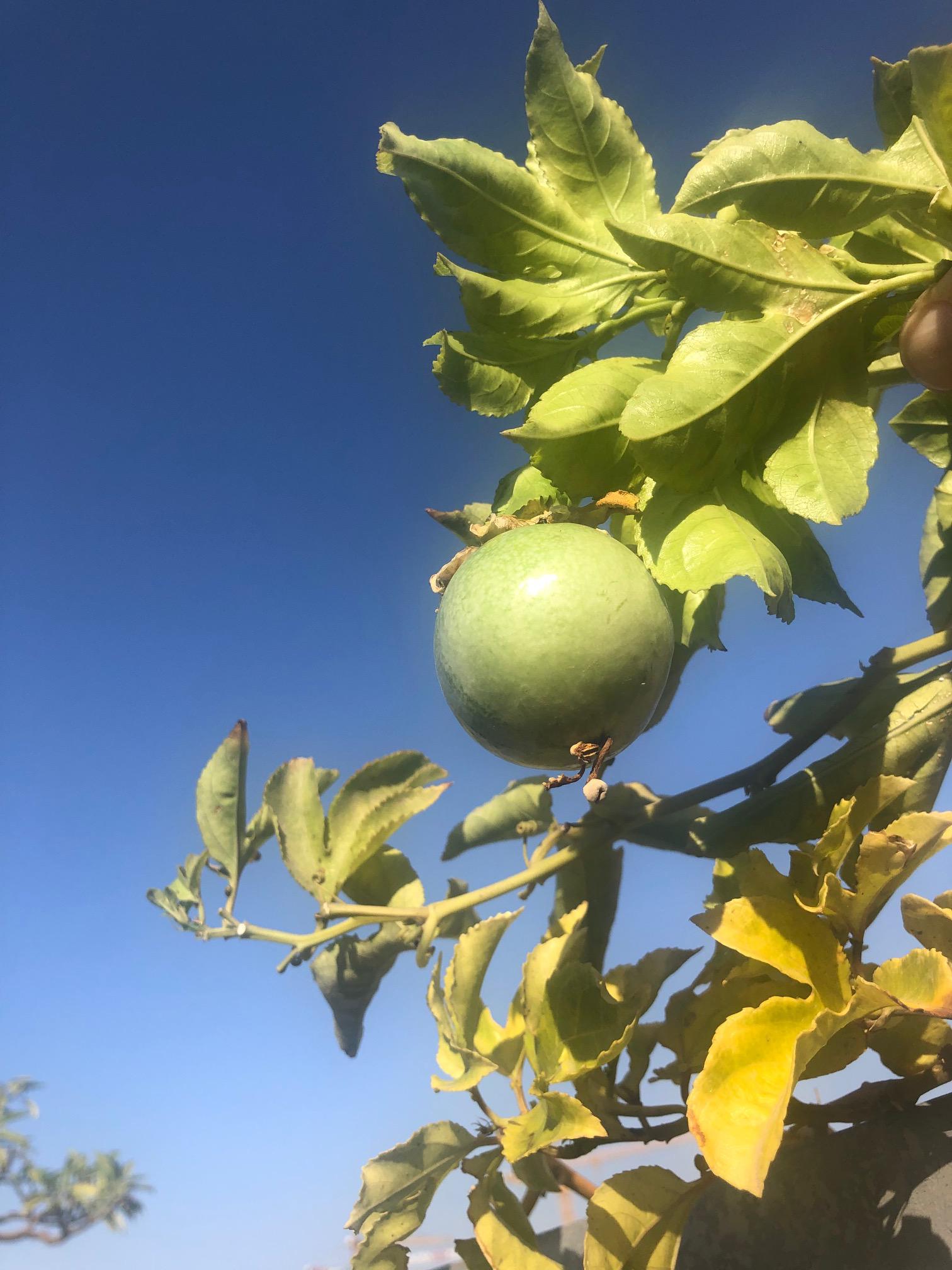 A Blue Day by Stephen Pohlmann - Illustrated by Stephen Pohlmann - Ourboox.com