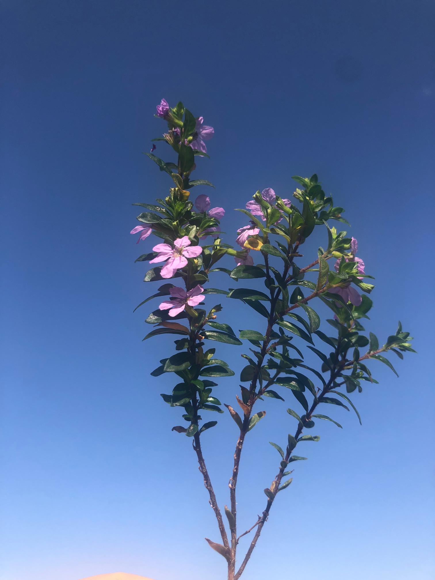 A Blue Day by Stephen Pohlmann - Illustrated by Stephen Pohlmann - Ourboox.com