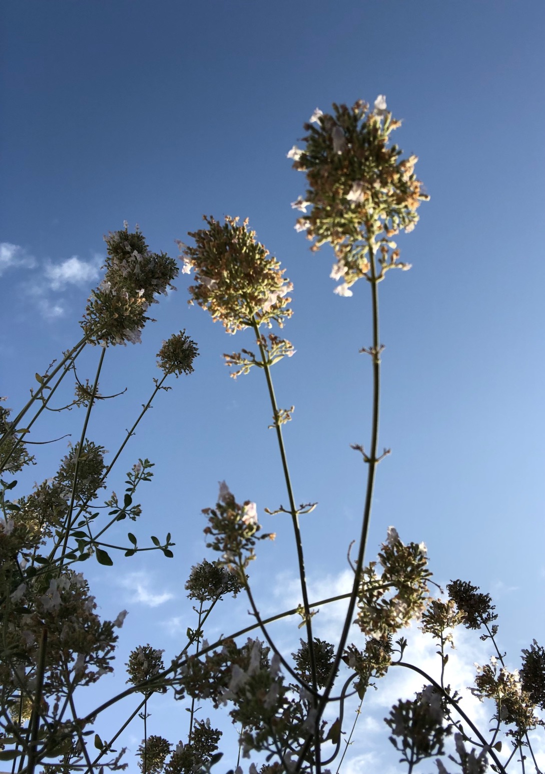 A Blue Day by Stephen Pohlmann - Illustrated by Stephen Pohlmann - Ourboox.com