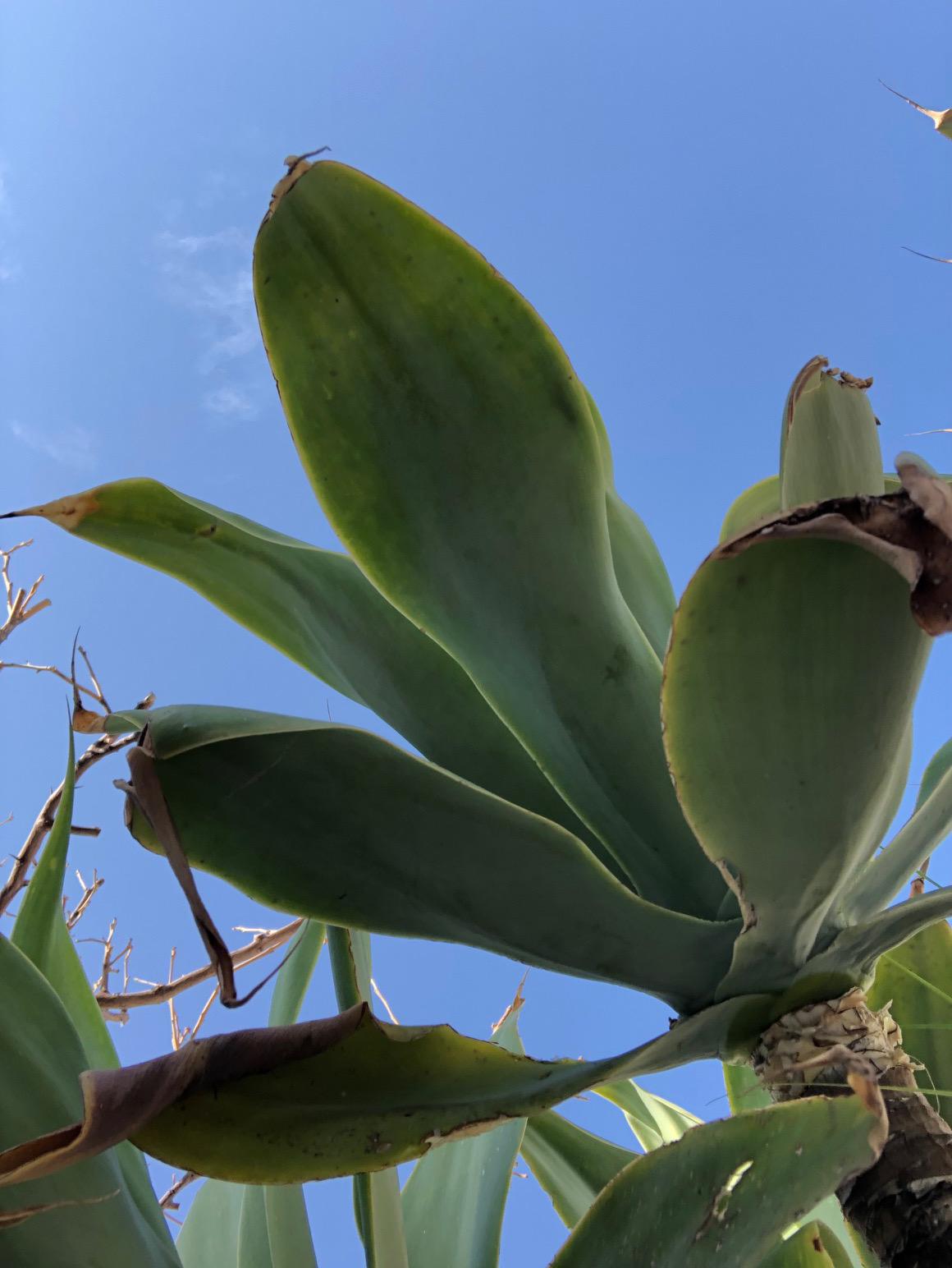 A Blue Day by Stephen Pohlmann - Illustrated by Stephen Pohlmann - Ourboox.com