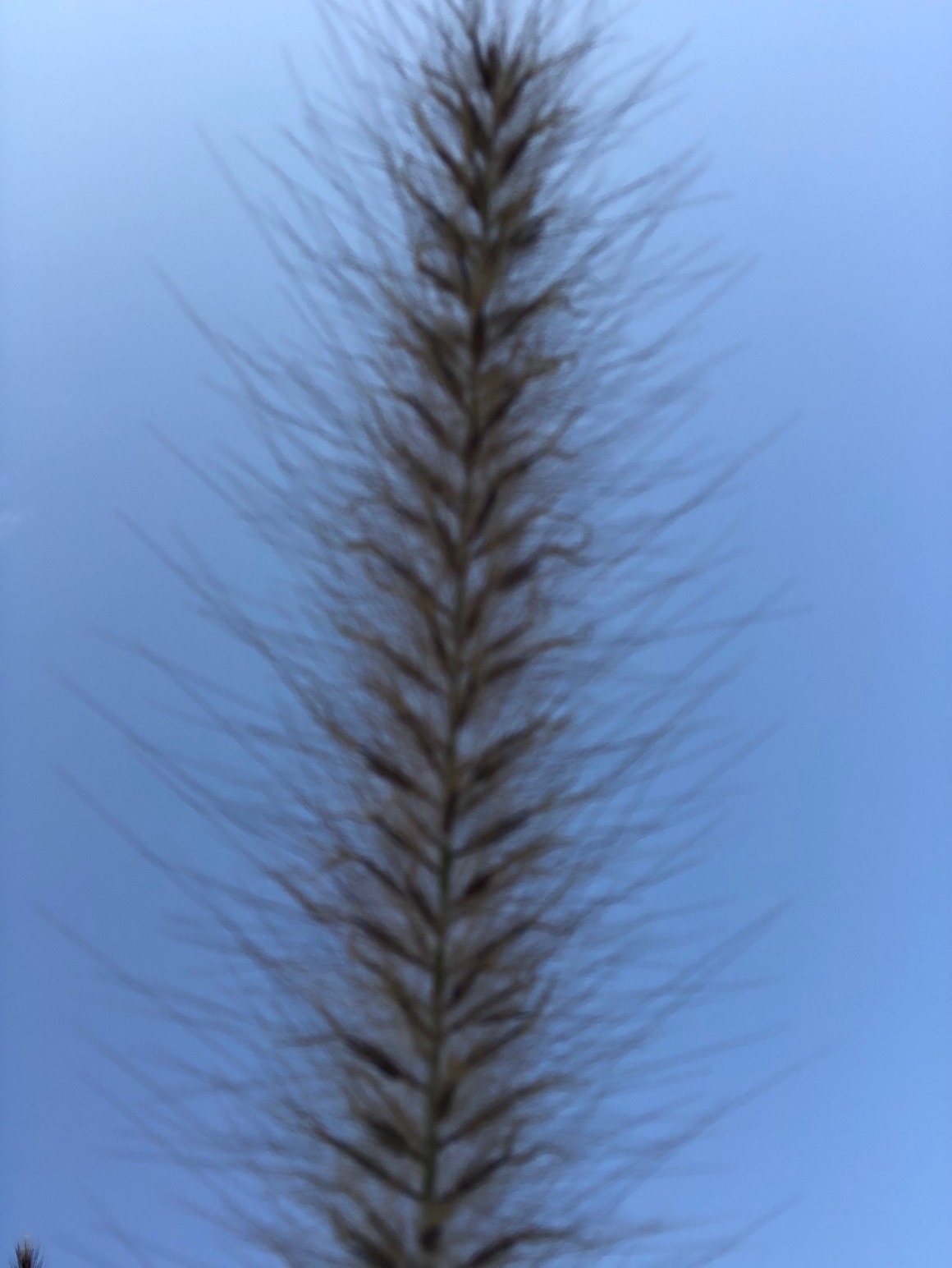 A Blue Day by Stephen Pohlmann - Illustrated by Stephen Pohlmann - Ourboox.com