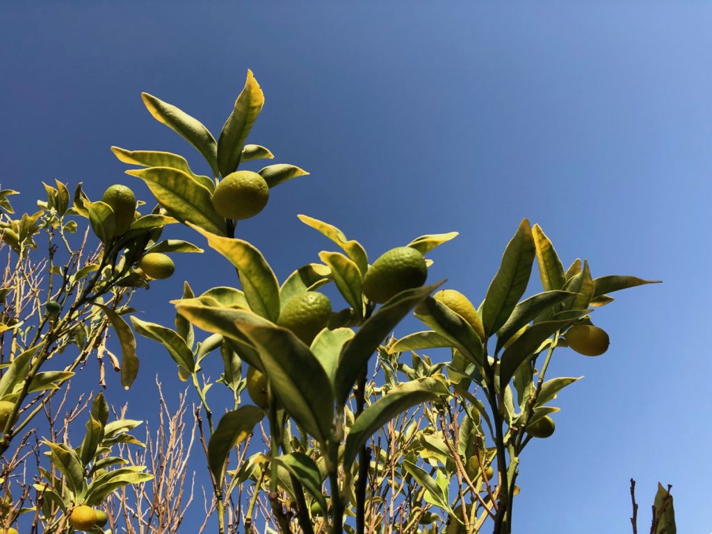 A Blue Day by Stephen Pohlmann - Illustrated by Stephen Pohlmann - Ourboox.com