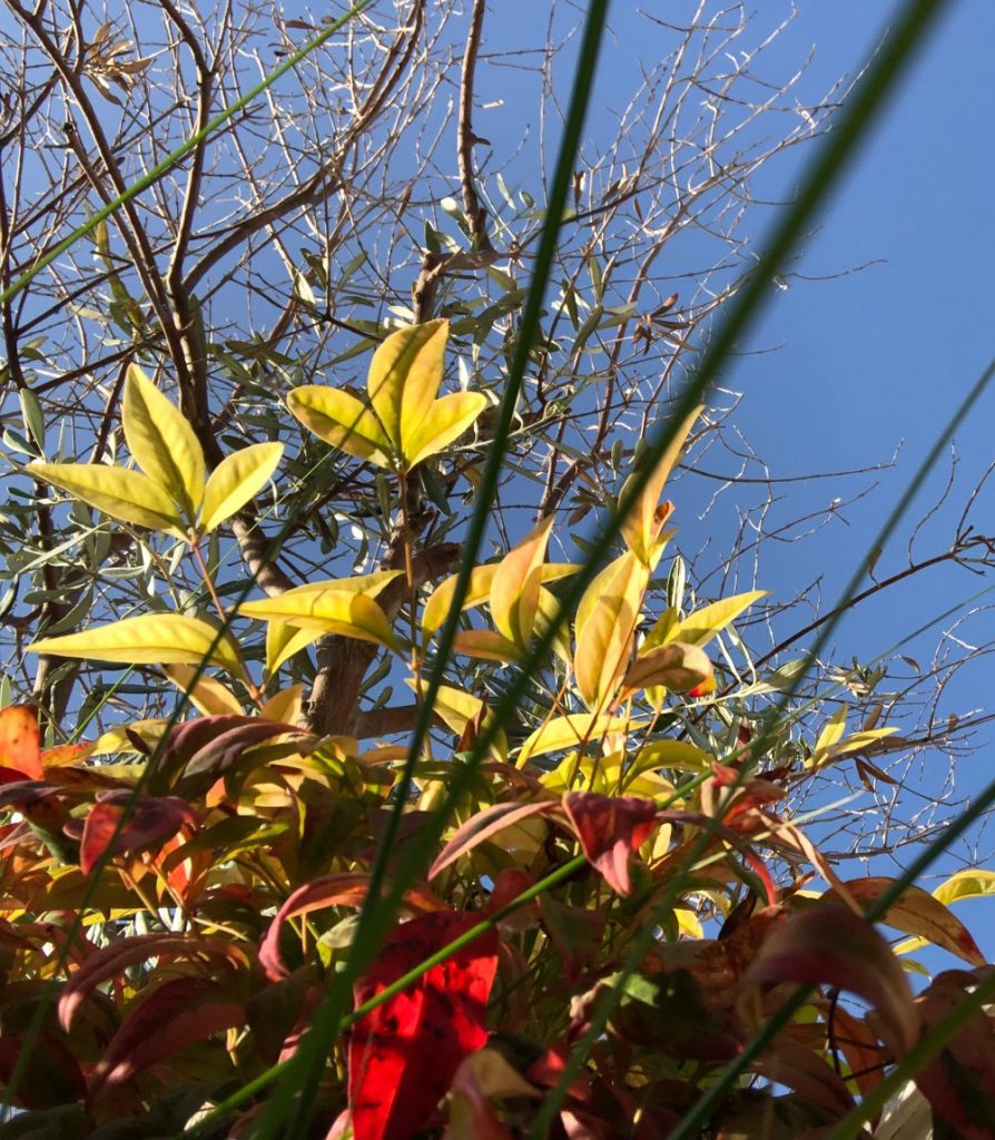 A Blue Day by Stephen Pohlmann - Illustrated by Stephen Pohlmann - Ourboox.com