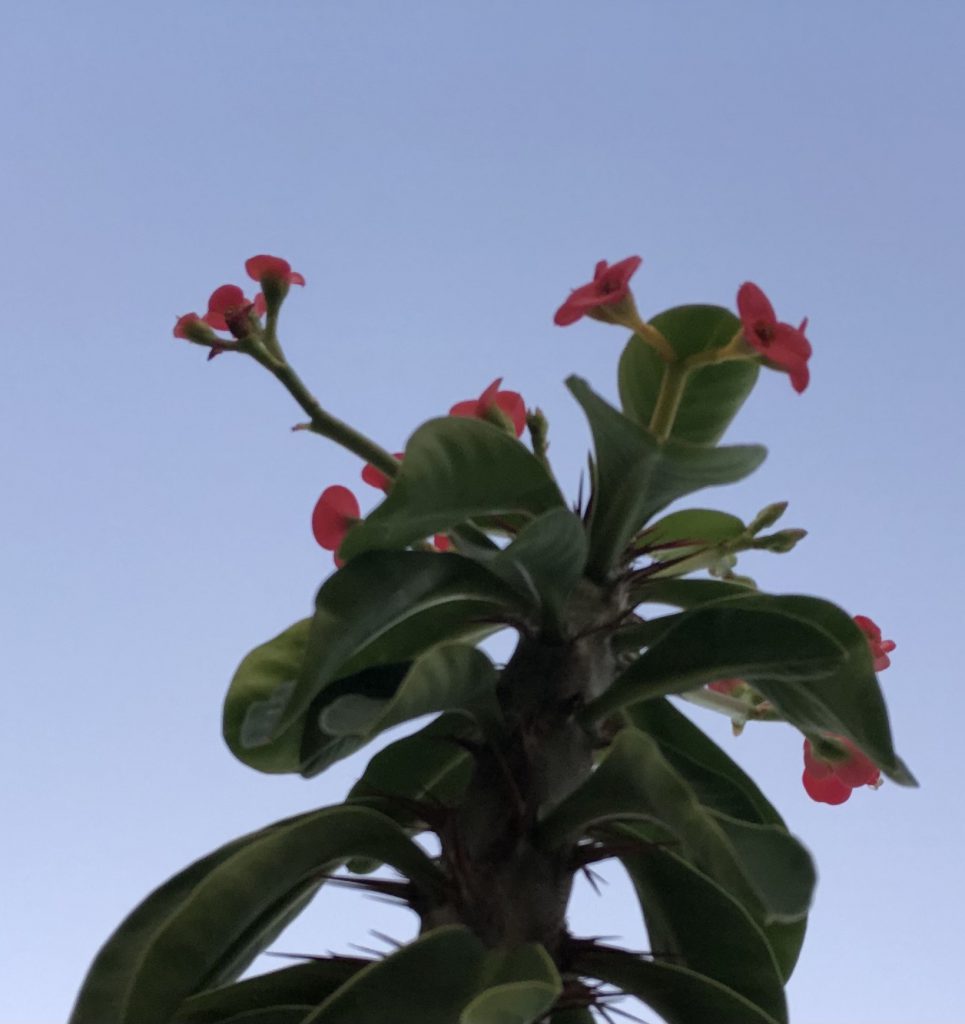 A Blue Day by Stephen Pohlmann - Illustrated by Stephen Pohlmann - Ourboox.com