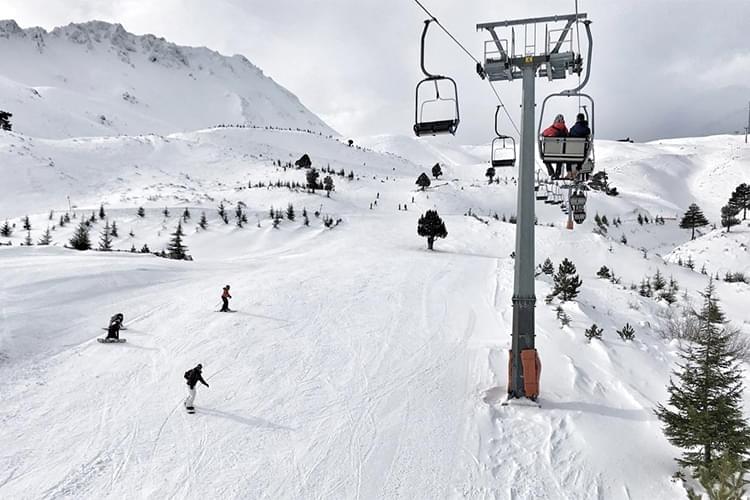 My City My Culture Project by Banu Balcı - Illustrated by Banu Balcı/Beyhan Solgun - Ourboox.com