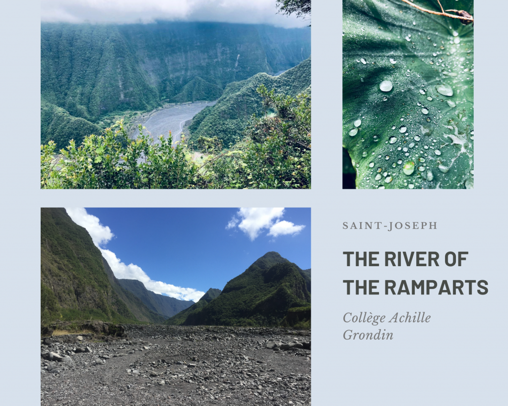 Saint-Joseph, Réunion Island by Maria - Illustrated by Maria Gaume - Ourboox.com