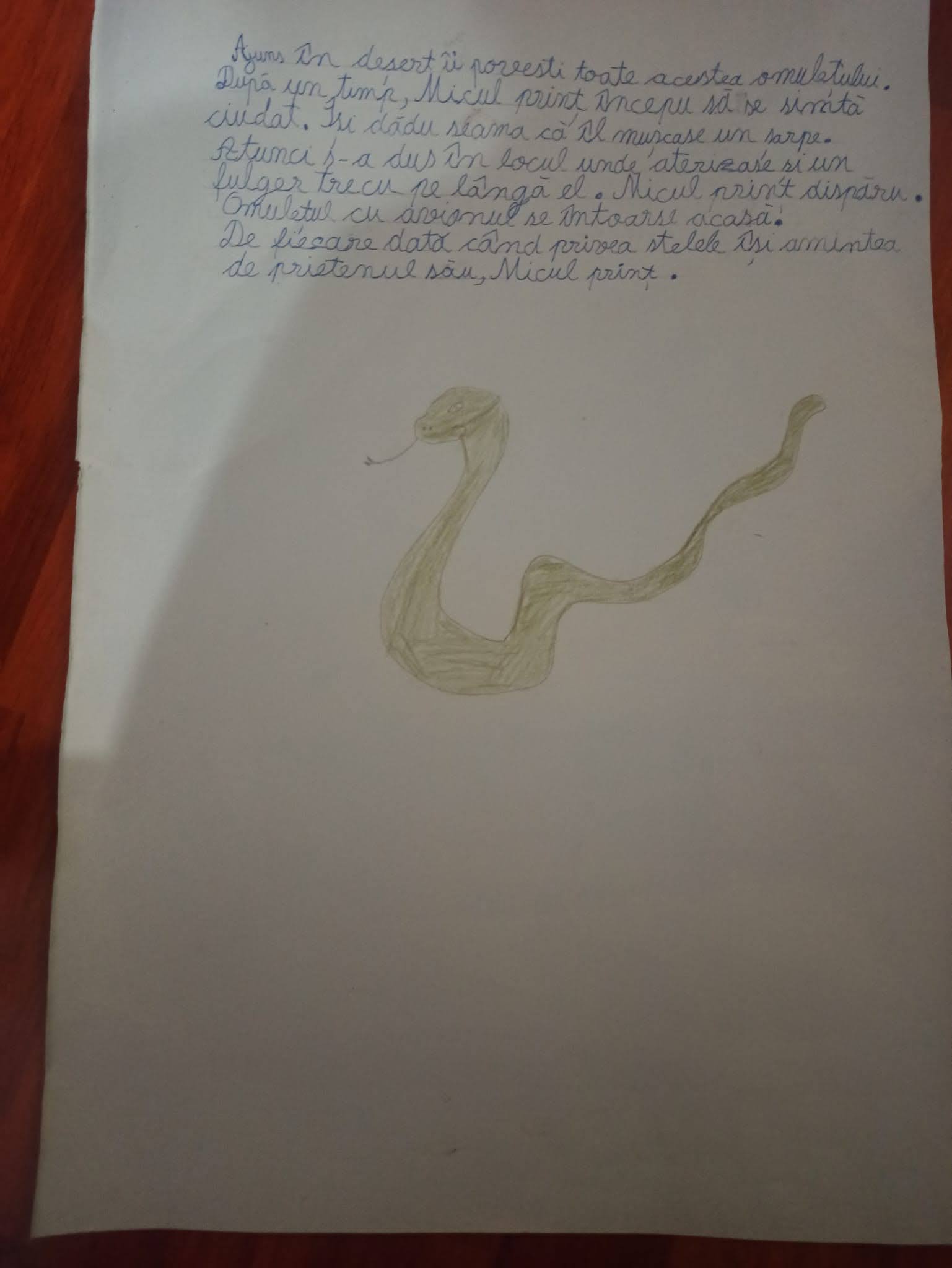 Cartea clasei by Simona Georgescu - Illustrated by Clasa Albinuțelor - Ourboox.com