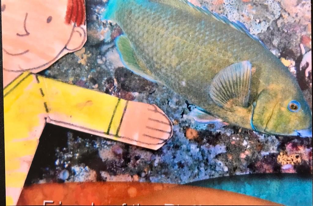 Flat Stanley in Australia Volume II by Jane Cohen - Illustrated by John Carroll Jnr - Ourboox.com