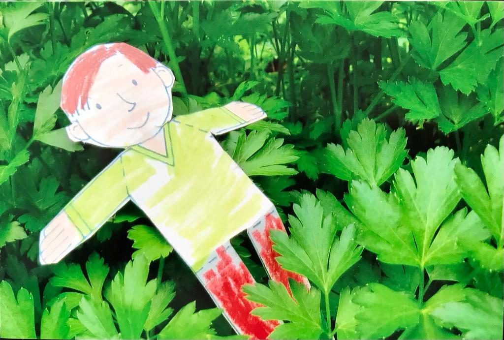 Flat Stanley in Australia Volume II by Jane Cohen - Illustrated by John Carroll Jnr - Ourboox.com