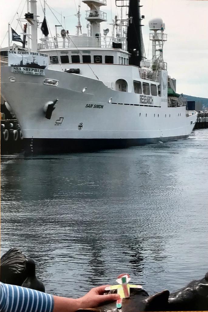 Flat Stanley in Australia Volume II by Jane Cohen - Illustrated by John Carroll Jnr - Ourboox.com