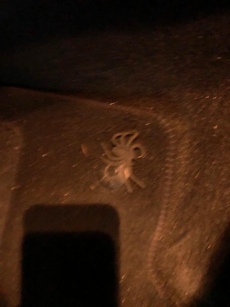 זיכרון ילדות יפה במיוחד by noa abady - Ourboox.com