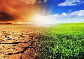 КАКВО МОЖЕ ДА СЕ НАПРАВИ ЗА ОГРАНИЧАВАНЕ НА КЛИМАТИЧНИТЕ ПРОМЕНИ_ Никол 11д