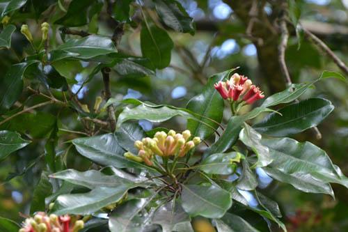 ЦАРИЦЯ КОРИЦЯ, ПАН ШАФРАН ТА ІНШІ by Larisa Yatsiuk - Illustrated by Лариса ЯЦЮК - Ourboox.com