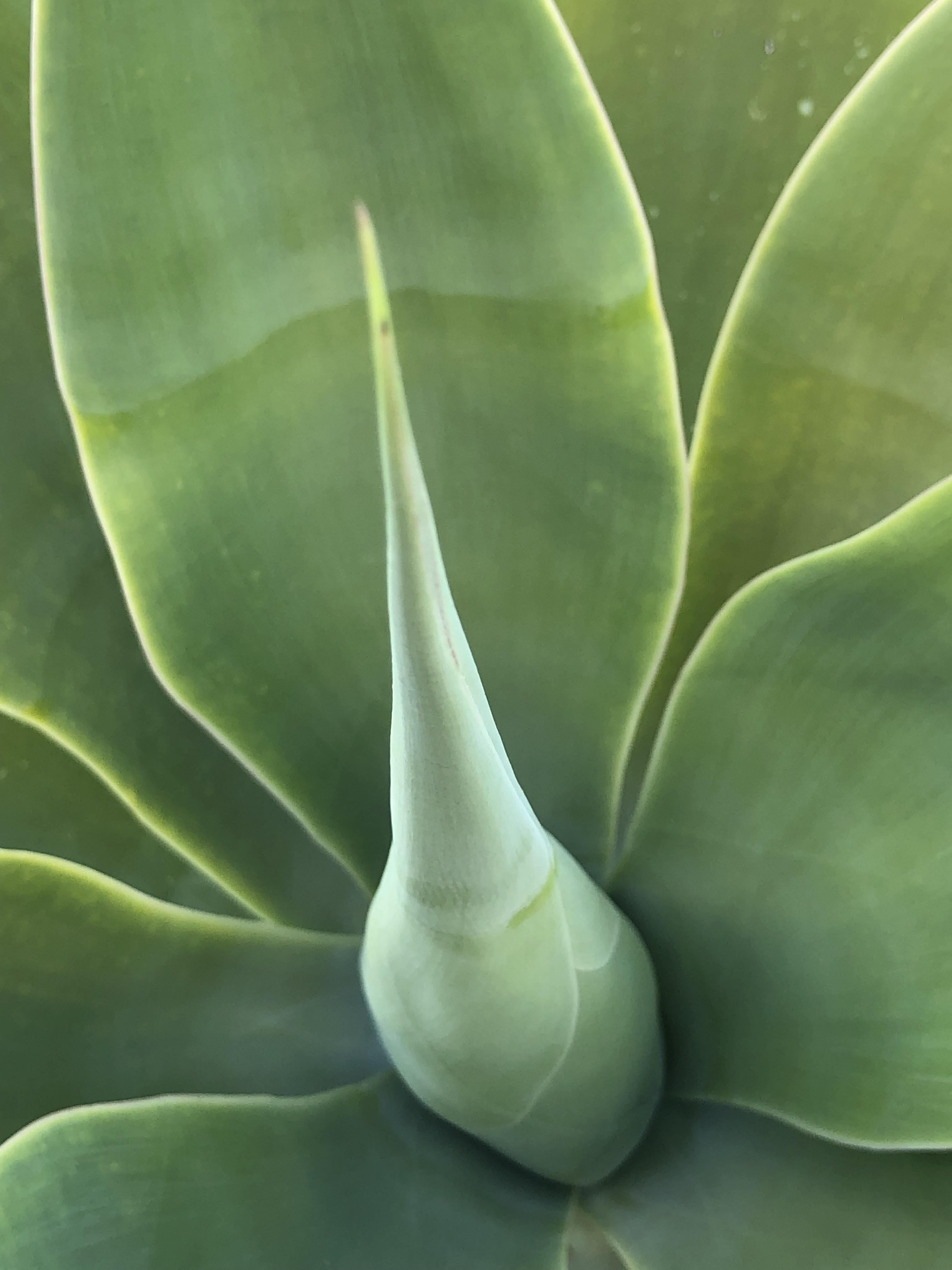 Behave as in Nature by Stephen Pohlmann - Illustrated by Stephen Pohlmann - Ourboox.com