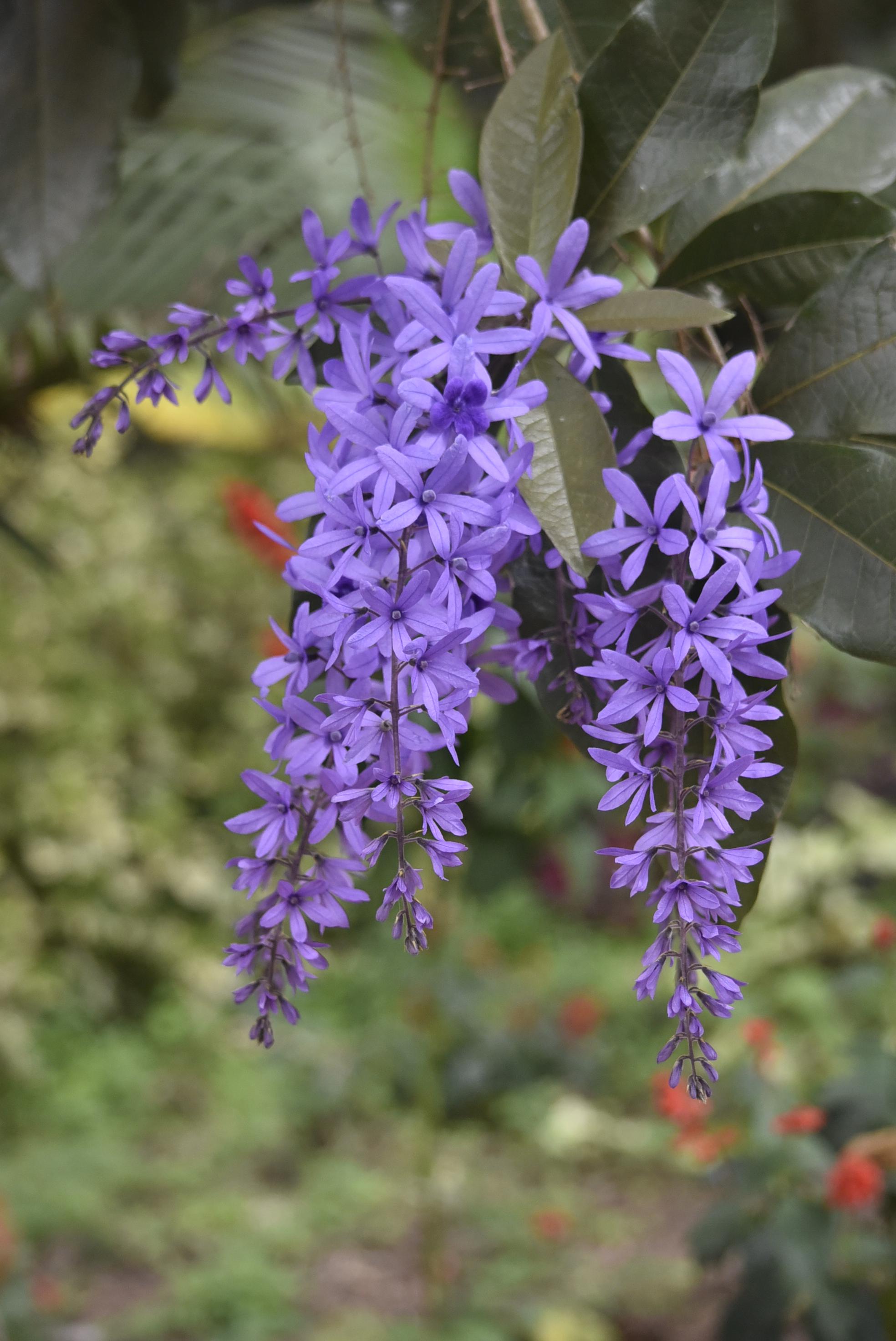 הטיול שלנו לטנזניה 2021 – חלק שני by מיכל בן הגיא - Illustrated by מיכל סלע ואבנר אייזיק - Ourboox.com