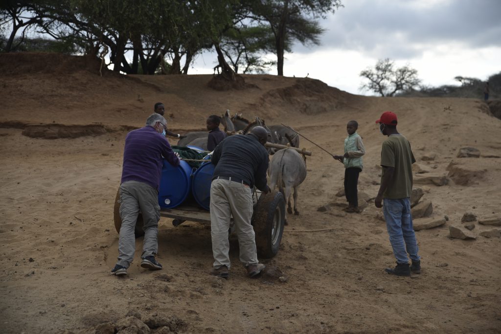 הטיול שלנו לטנזניה 2021 – חלק שני by מיכל בן הגיא - Illustrated by מיכל סלע ואבנר אייזיק - Ourboox.com