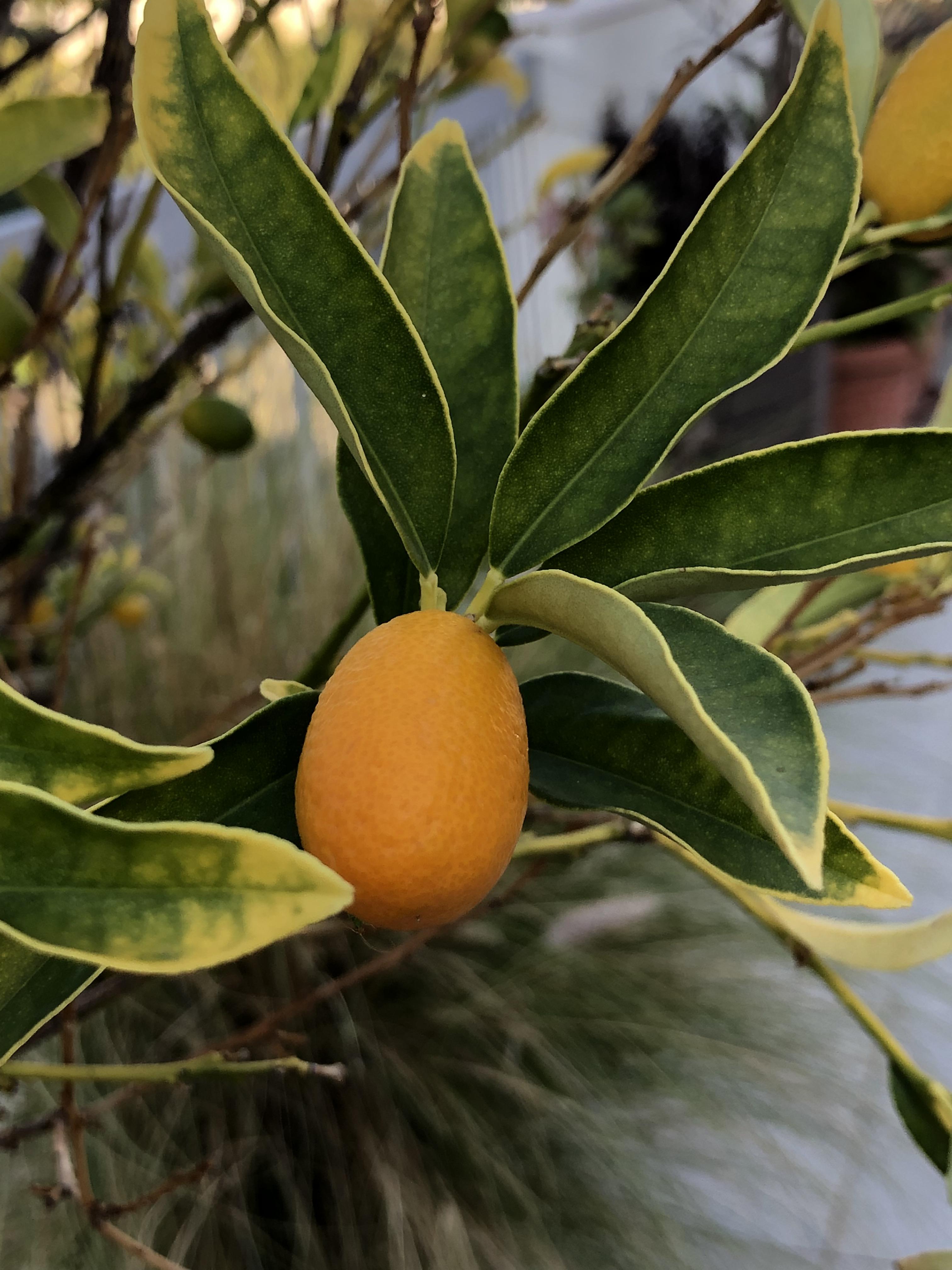 Behave as in Nature by Stephen Pohlmann - Illustrated by Stephen Pohlmann - Ourboox.com