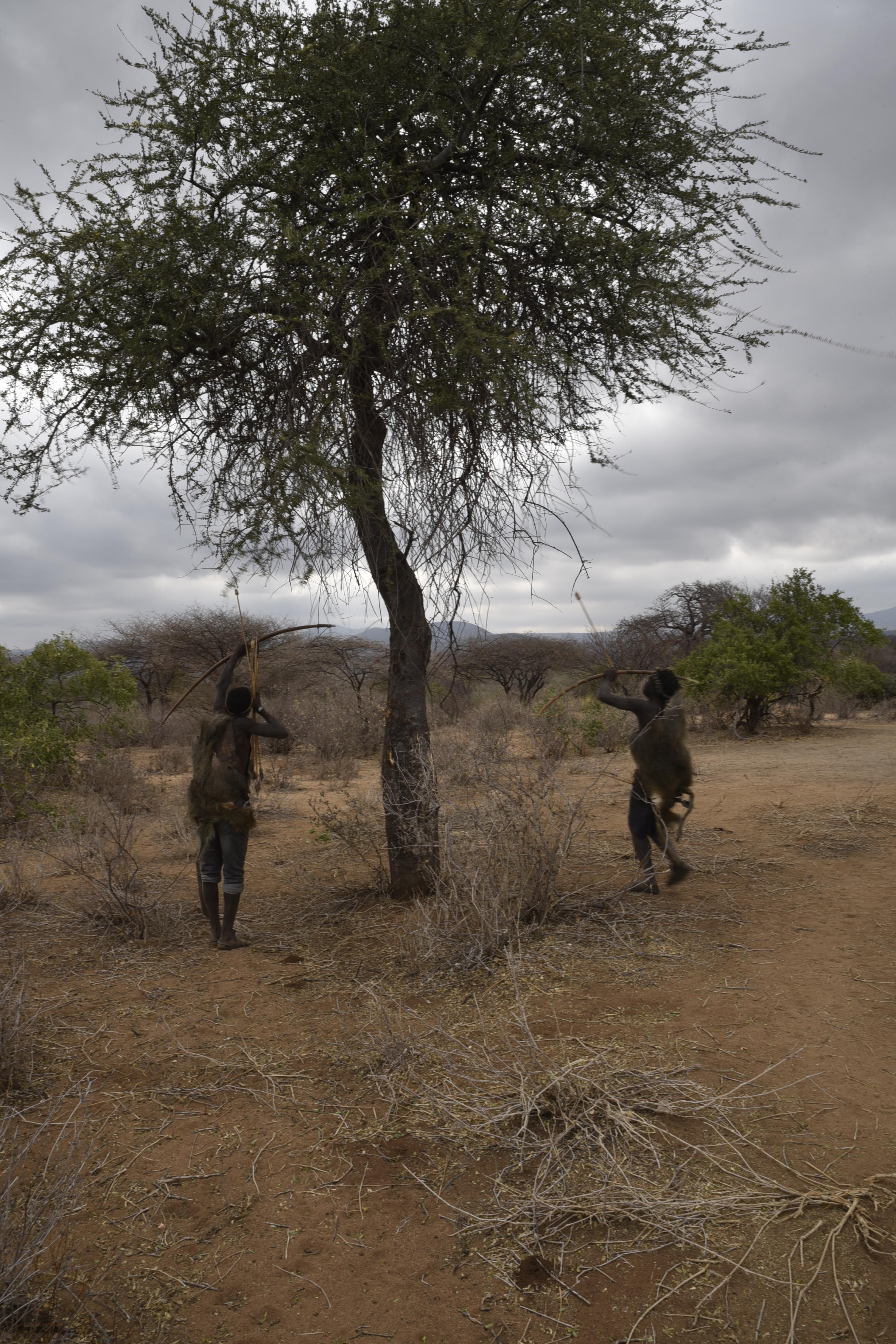 הטיול שלנו לטנזניה 2021 – חלק שני by מיכל בן הגיא - Illustrated by מיכל סלע ואבנר אייזיק - Ourboox.com