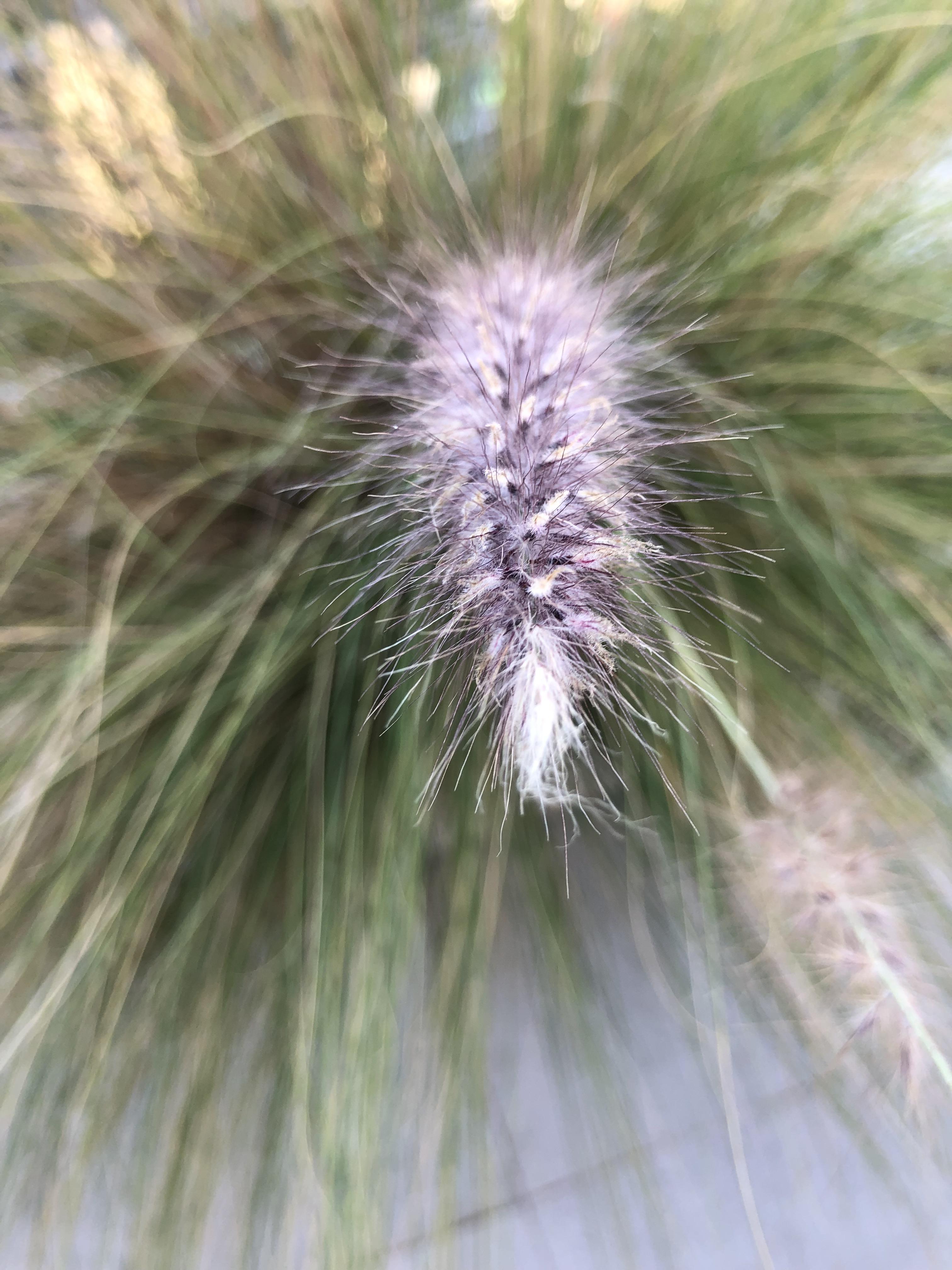 Behave as in Nature by Stephen Pohlmann - Illustrated by Stephen Pohlmann - Ourboox.com