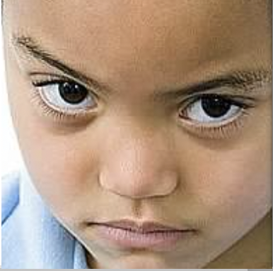 ———DIGITAL NATIVES RISING——— (Original English) by Marc Prensky - Ourboox.com