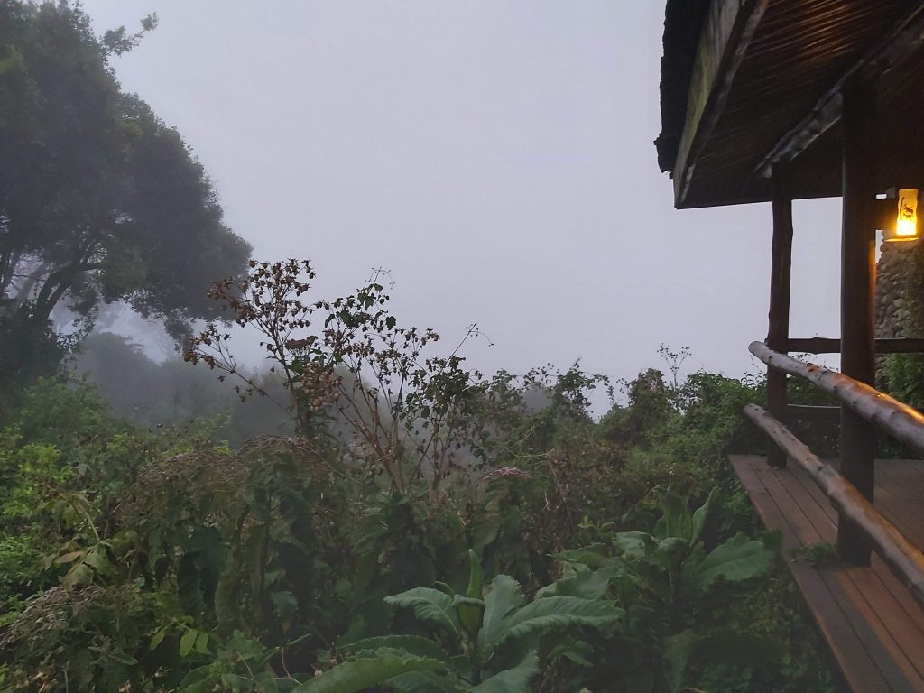 הטיול שלנו לטנזניה 2021 – חלק שני by מיכל בן הגיא - Illustrated by מיכל סלע ואבנר אייזיק - Ourboox.com